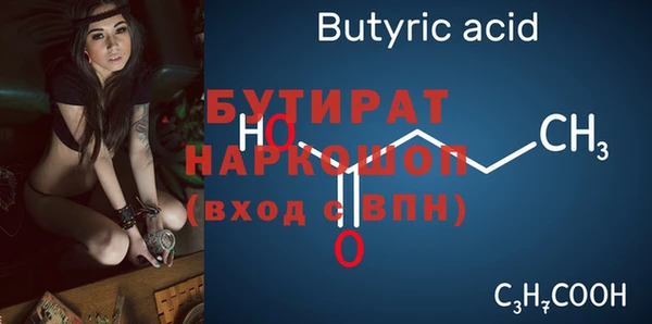 дмт Богданович