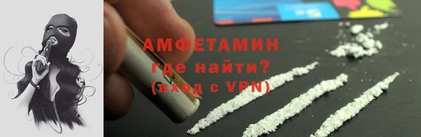 дмт Богданович