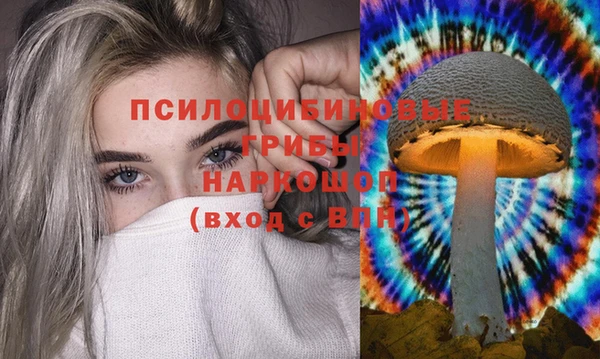 дмт Богданович