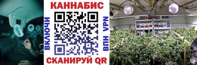 это официальный сайт  Тогучин  Бошки Шишки индика  закладка 